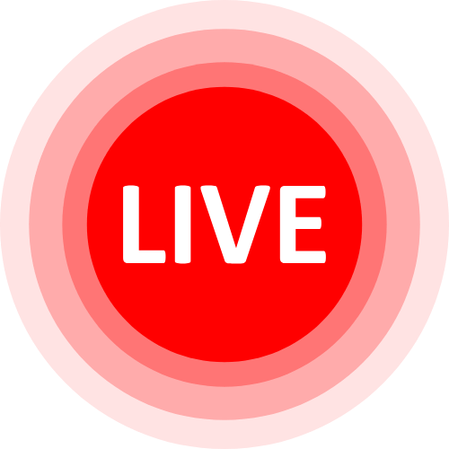 Lovense Interactive